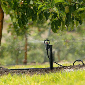 Micro sprinklers irrigation system